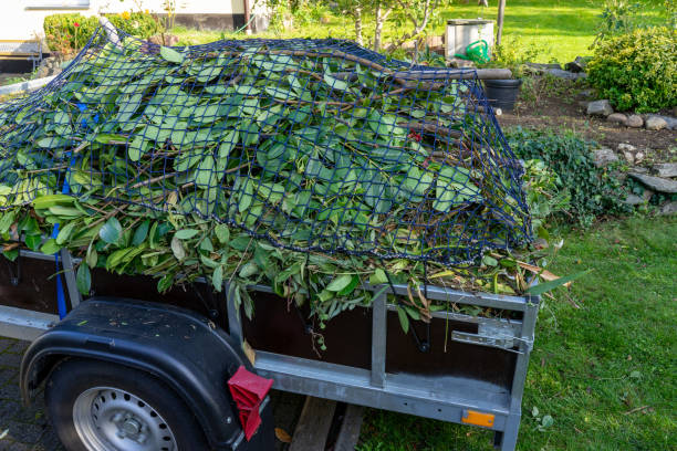 Best Shed Removal  in Platteville, CO